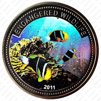 1 доллар 2011, Вымирающие виды - Рыба-клоун [Австралия] - Реверс