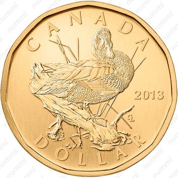 1 доллар 2013, Голубокрылый чирок [Канада] - Реверс