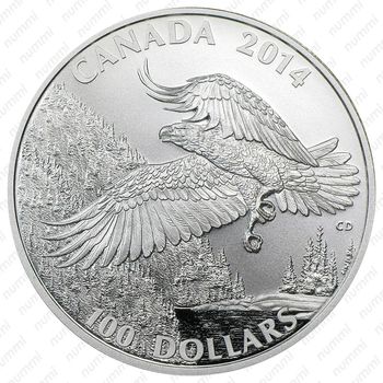 100 долларов 2014, Белоголовый орлан [Канада] - Реверс