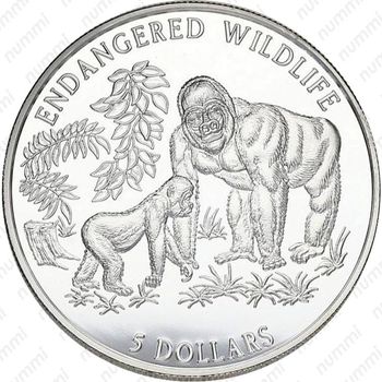 5 долларов 1996, Вымирающие виды - Гориллы [Австралия] - Реверс