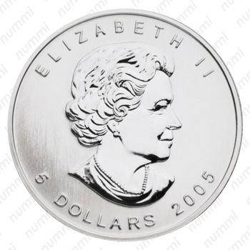 5 долларов 2005, Кленовые листья [Канада] - Аверс
