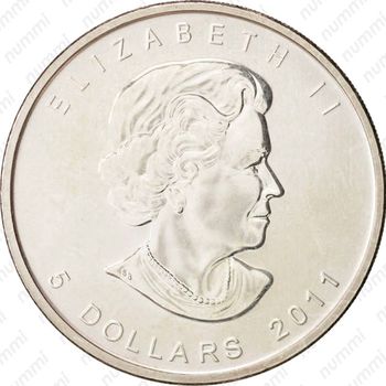 5 долларов 2011, Природа Канады - Гризли [Канада] - Аверс
