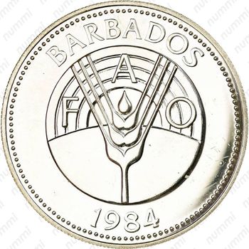 50 долларов 1984, ФАО [Барбадос] - Аверс