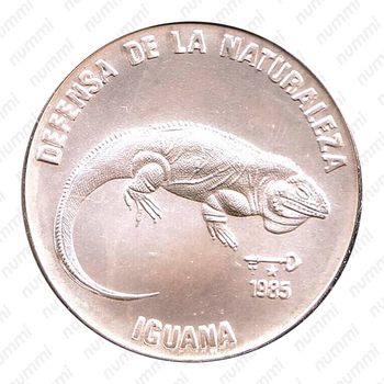 5 песо 1985, Защита природы - Игуана /Iguana/ [Куба] - Реверс