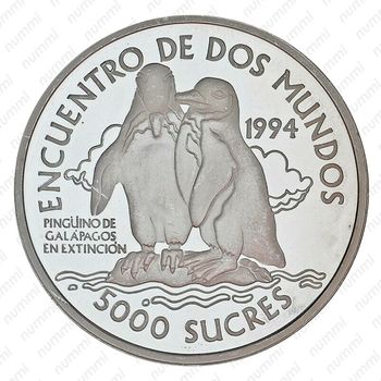 5000 сукре 1994, Иберо-Америка - Галапагосский пингвин [Эквадор] - Реверс