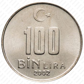 100.000 лир 2001-2004 [Турция] - Реверс
