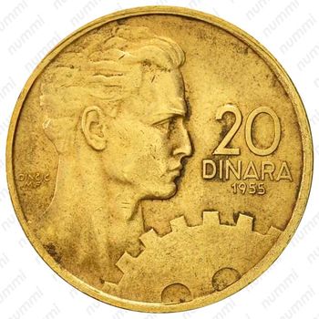 20 динаров 1955 [Югославия] - Реверс