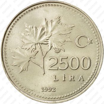 2.500 лир 1991-1997 [Турция] - Реверс