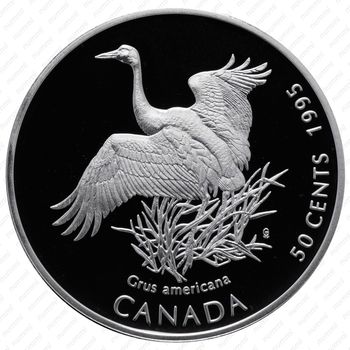 50 центов 1995, Птицы Канады - Американский журавль [Канада] - Реверс