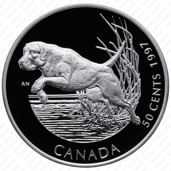 50 центов 1997, Собаки Канады - Лабрадор ретривер [Канада] - Реверс
