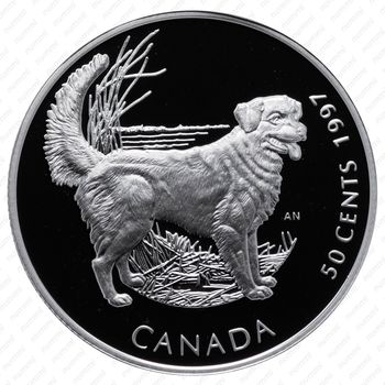 50 центов 1997, Собаки Канады - Новошотландский ретривер [Канада] - Реверс