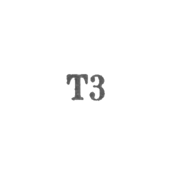 Промкомбинат "Эду" г. Тарту - "Т3" - 1963, фото 