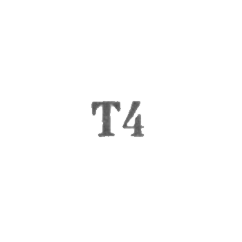 Промкомбинат "Эду" г. Тарту - "Т4" - 1964, фото 