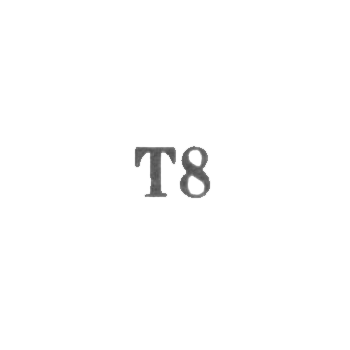 Промкомбинат "Эду" г. Тарту - "Т8" - 1968, фото 