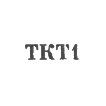 Ювелирная мастерская Выруского промкомбината "Тамула" - "ТКТ1" - 1961, фото 