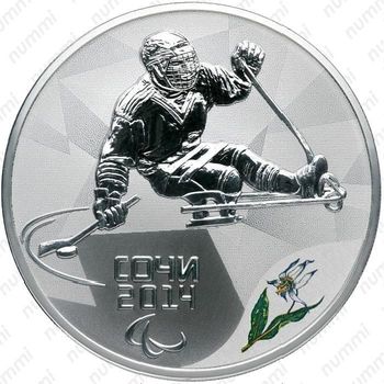 3 рубля 2014, следж хоккей