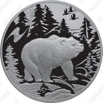 3 рубля 2009, медведь
