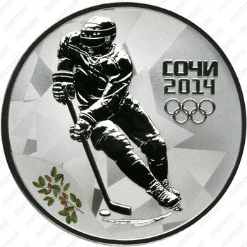 3 рубля 2014, хоккей