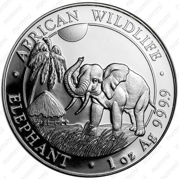100 шиллингов 2017, слон