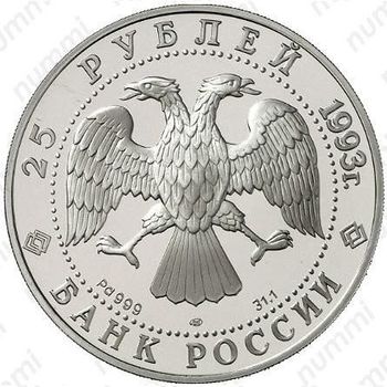 25 рублей 1993, Нева