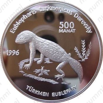 500 манатов 1996, туркменский эублефар