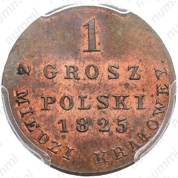 1 грош 1825, IB, Новодел - Реверс