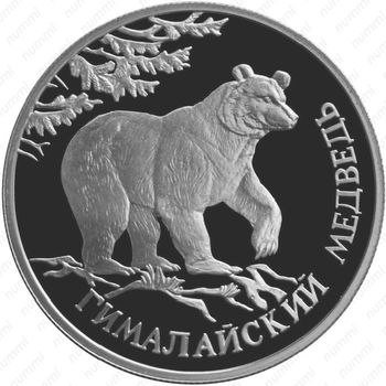1 рубль 1994, медведь