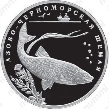 2 рубля 2008, шемая