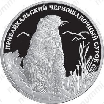 2 рубля 2008, сурок