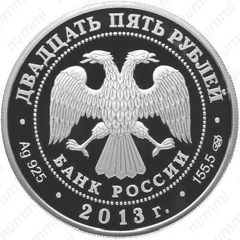 25 рублей 2013, Универсиада