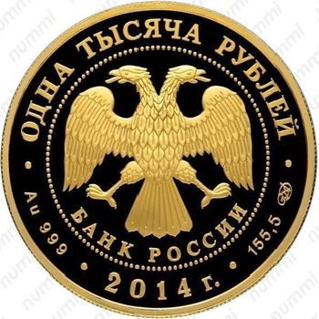 1000 рублей 2014, дзюдо