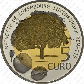 5 евро 2014, Люксембургский ранет