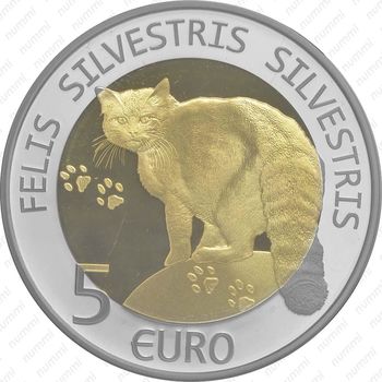 5 евро 2015, среднеевропейский лесной кот
