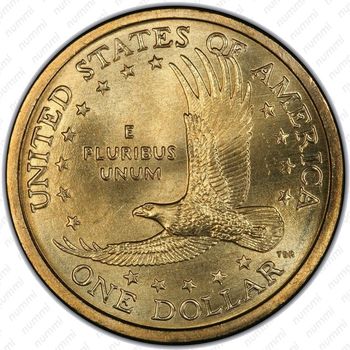 1 доллар 2006, Сакагавея - Реверс