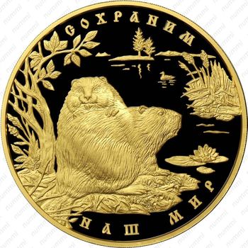 10000 рублей 2008, бобр