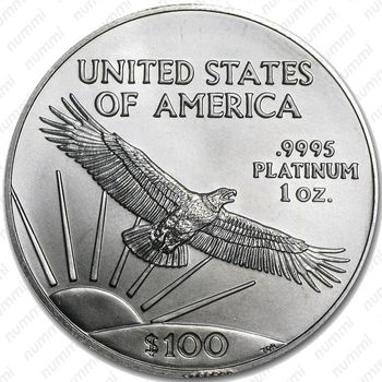 100 долларов 2008, американский орёл