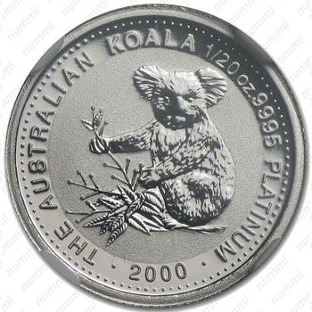 5 долларов 2000, коала