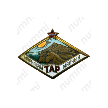 Знак «Передовой скотовод Тувинской Аратской (Народной) Республики»