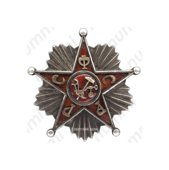 Знак «Командир Рабоче-Крестьянской Красной Армии»