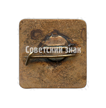 Знак «Спасательный отряд»