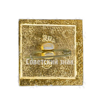 Знак ученика 9 класса средней школы 