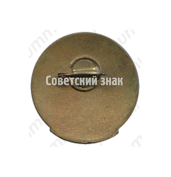 Знак «Добровольное общество содействия озеленению Москвы (ДОСОМ)»