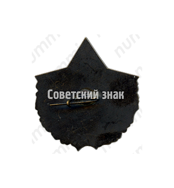 Знак «40 лет войсковой части № 56178»