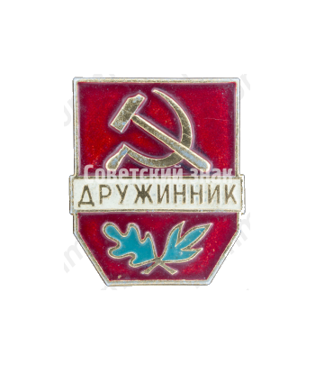 Знак «Дружинник. Тип 3»