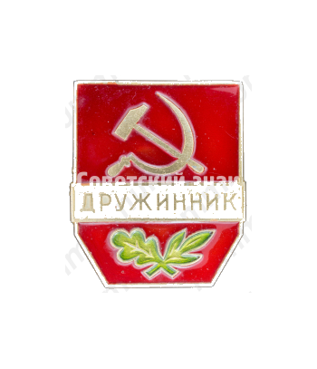 Знак «Дружинник. Тип 2»