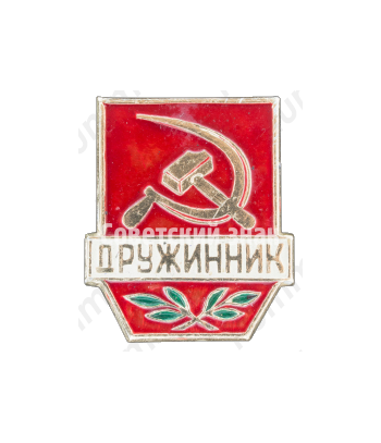 Знак «Дружинник. Тип 4»