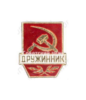 Знак «Дружинник. Тип 4»