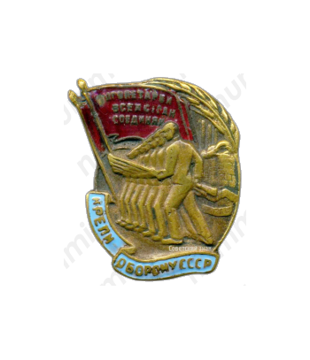 Знак кружечного сбора «Крепи оборону СССР»