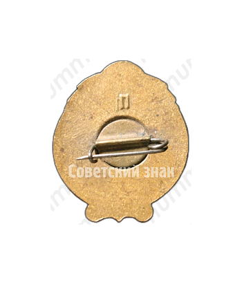 Знак «Юный путешественник СССР»