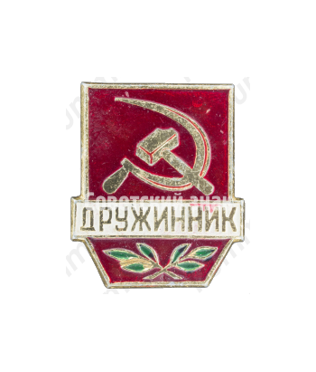 Знак «Дружинник. Тип 4»